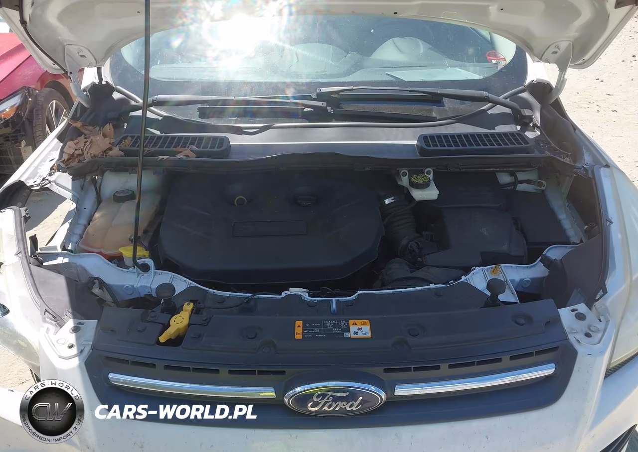 2014 Ford Escape Se VIN:1FMCU0G91EUA14524 - 10