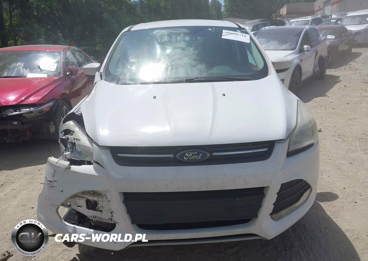 2014 Ford Escape Se VIN:1FMCU0G91EUA14524 - 12