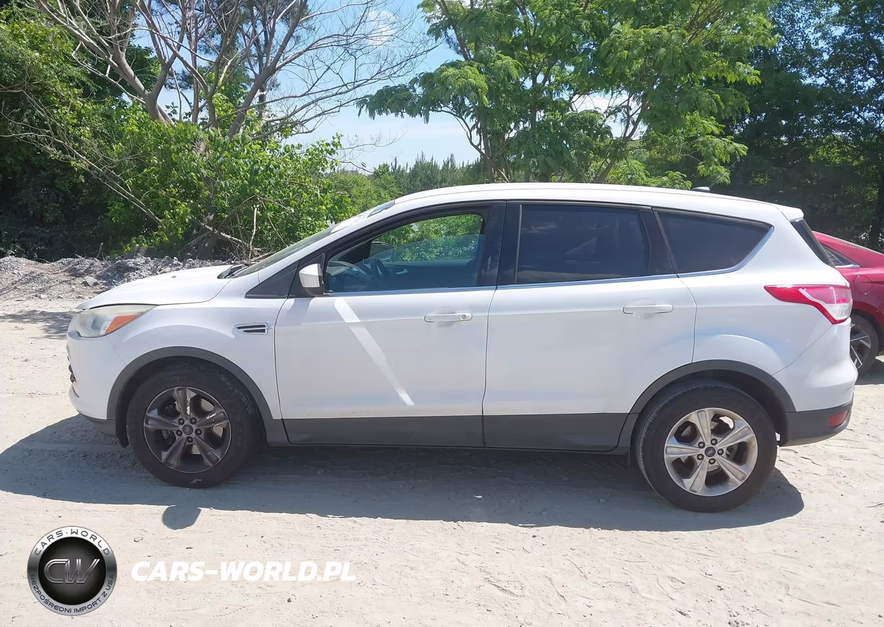 2014 Ford Escape Se VIN:1FMCU0G91EUA14524 - 14