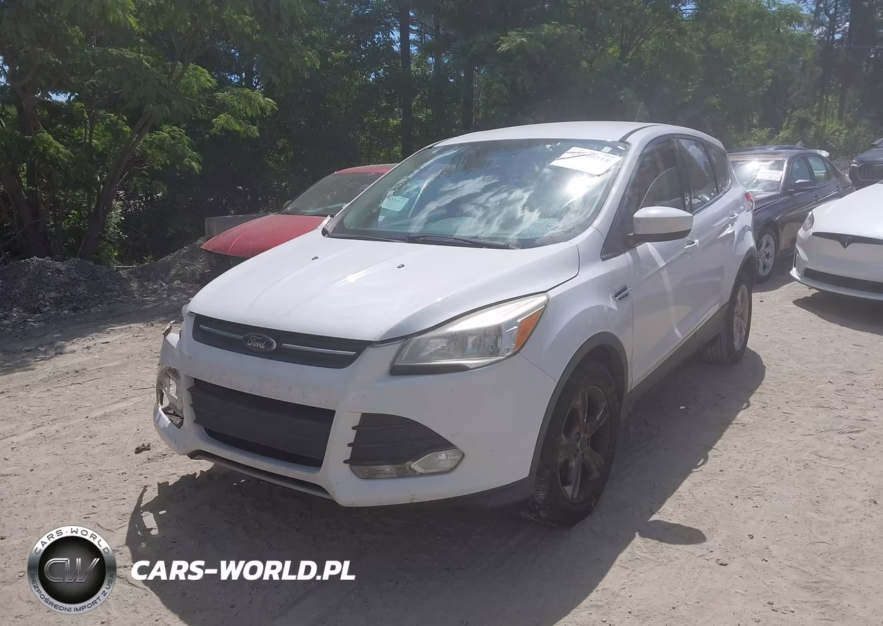 2014 Ford Escape Se VIN:1FMCU0G91EUA14524 - 2