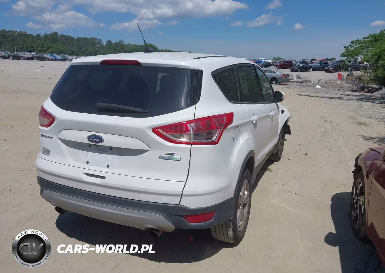 2014 Ford Escape Se VIN:1FMCU0G91EUA14524 - 4