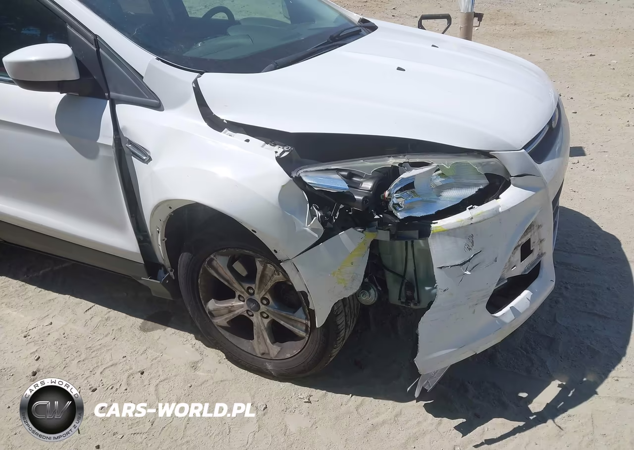 2014 Ford Escape Se VIN:1FMCU0G91EUA14524 - 6