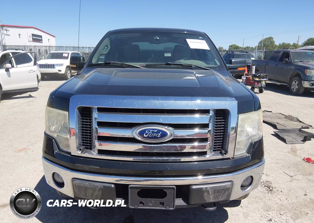 2010 Ford F-150 Fx4-Harley-Davidson-King Ranch-Lariat-Platinum-Xl-Xlt VIN:1FTFW1EV9AFC43260 - 12