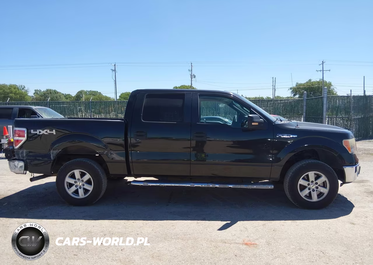 2010 Ford F-150 Fx4-Harley-Davidson-King Ranch-Lariat-Platinum-Xl-Xlt VIN:1FTFW1EV9AFC43260 - 13