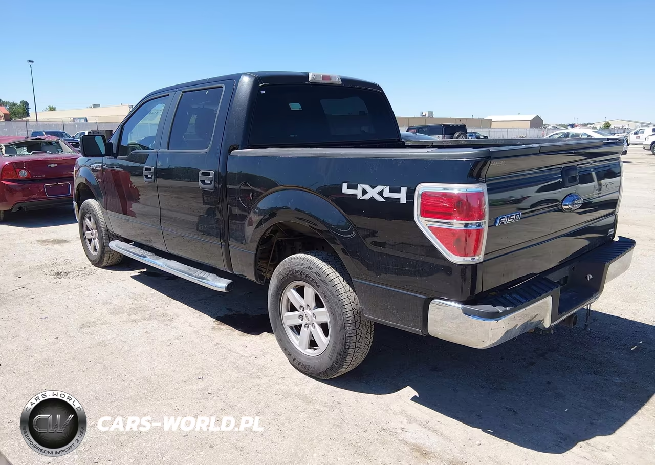 2010 Ford F-150 Fx4-Harley-Davidson-King Ranch-Lariat-Platinum-Xl-Xlt VIN:1FTFW1EV9AFC43260 - 3