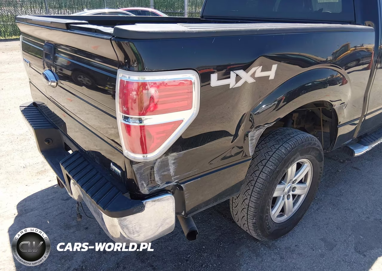 2010 Ford F-150 Fx4-Harley-Davidson-King Ranch-Lariat-Platinum-Xl-Xlt VIN:1FTFW1EV9AFC43260 - 6