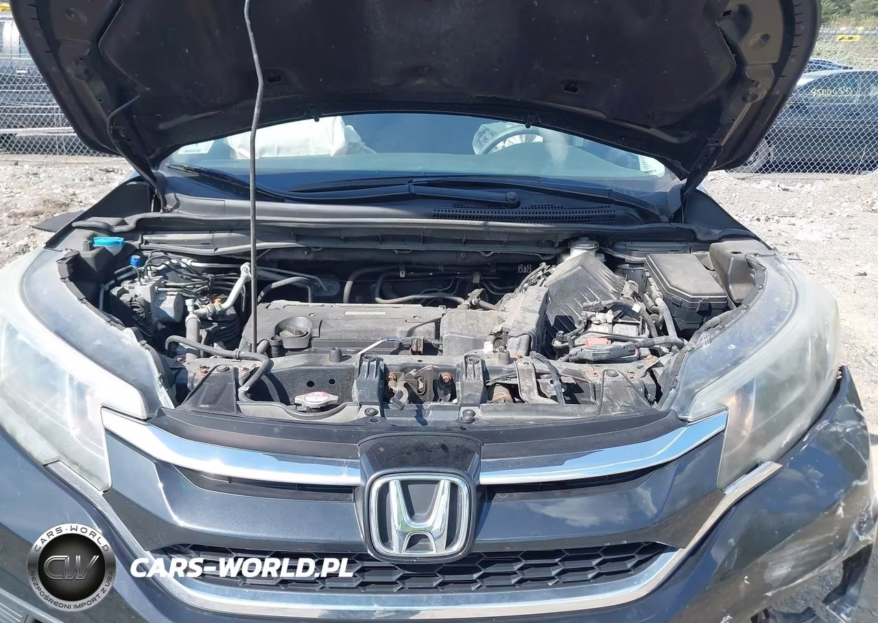 2016 Honda Cr-V Lx VIN:5J6RM4H31GL132320 - 10