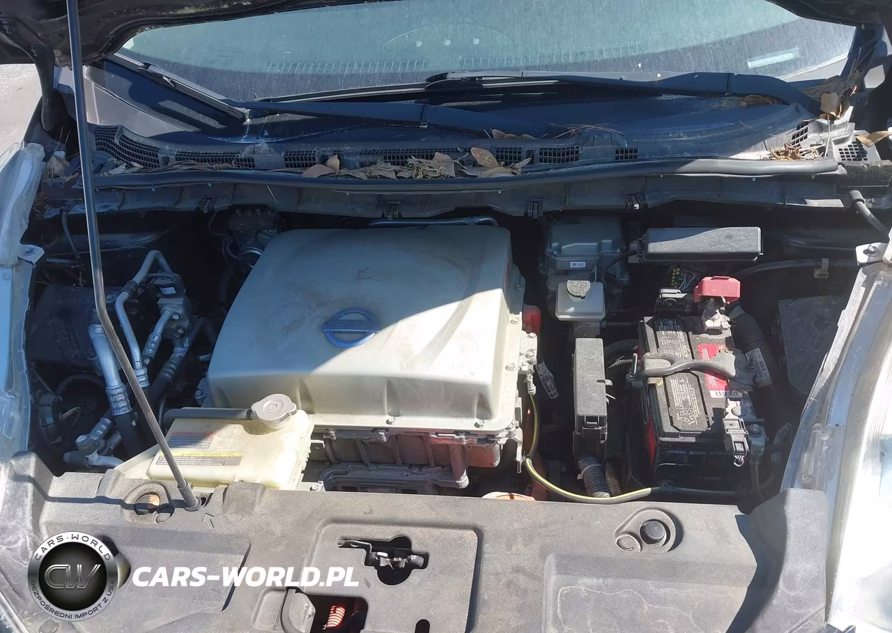 2015 Nissan Leaf S VIN:1N4AZ0CP1FC307371 - 10