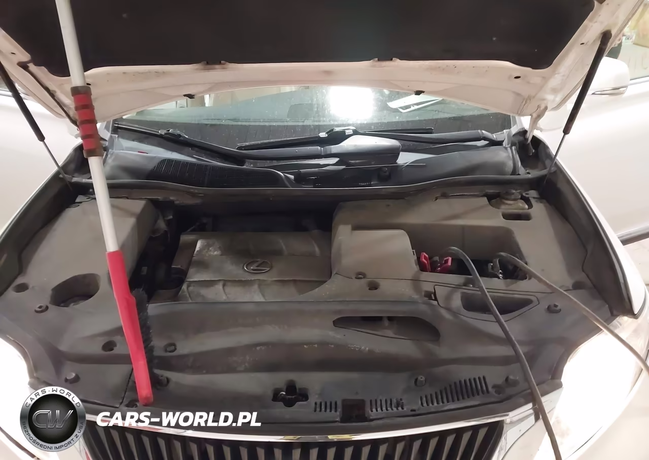 2010 Lexus Rx 350 VIN:2T2BK1BA5AC074256 - 10