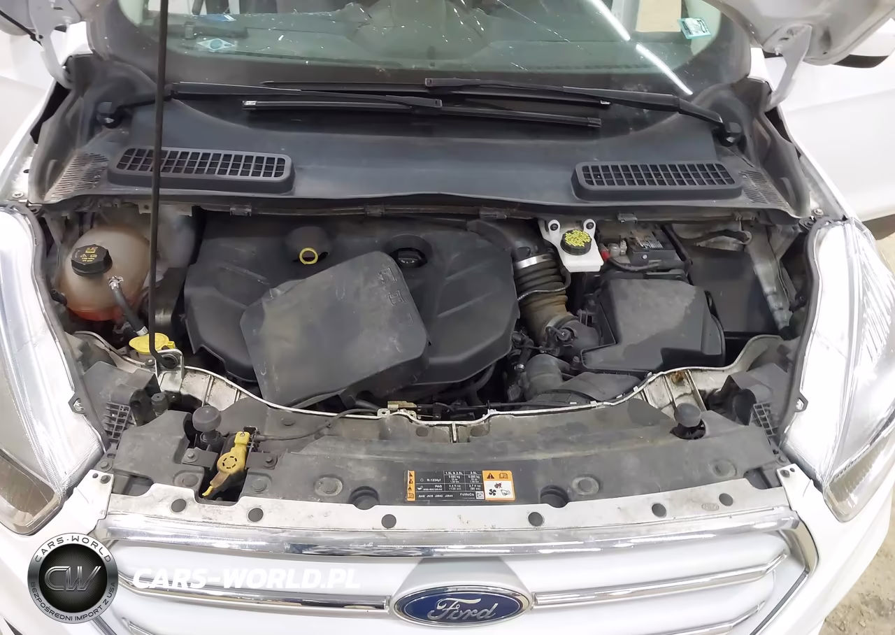 2017 Ford Escape Se VIN:1FMCU9G96HUF09987 - 10