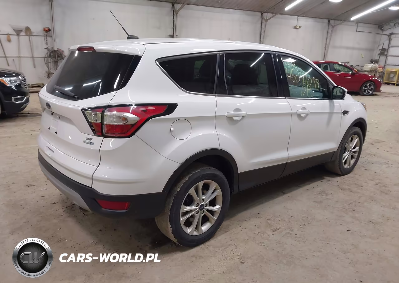 2017 Ford Escape Se VIN:1FMCU9G96HUF09987 - 4