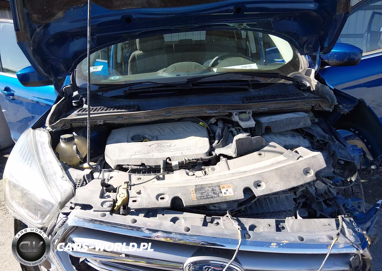 2017 Ford Escape Se VIN:1FMCU0GD1HUB88103 - 10