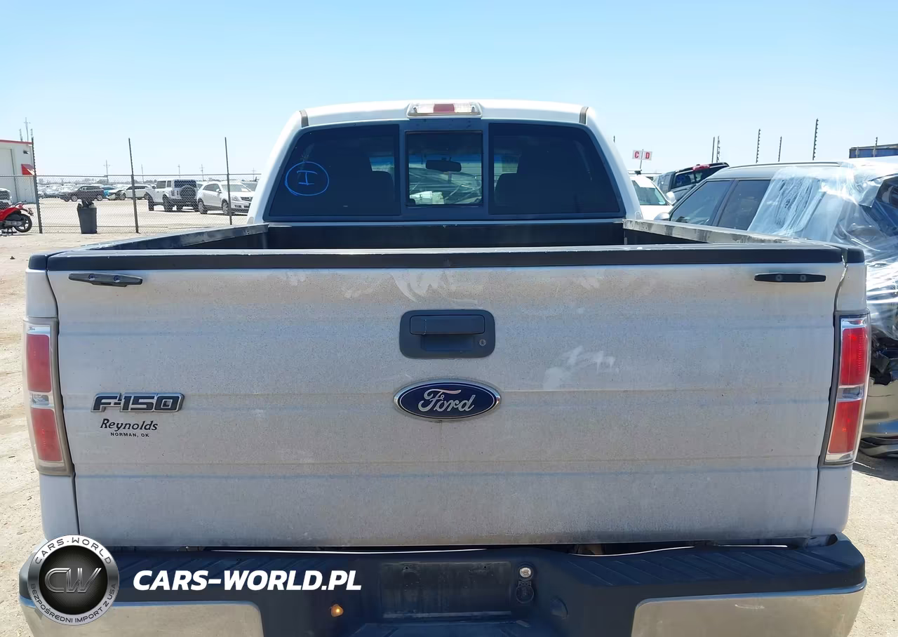 2010 Ford F-150 Fx2 Sport-Xl-Xlt VIN:1FTEW1C8XAFD32604 - 17