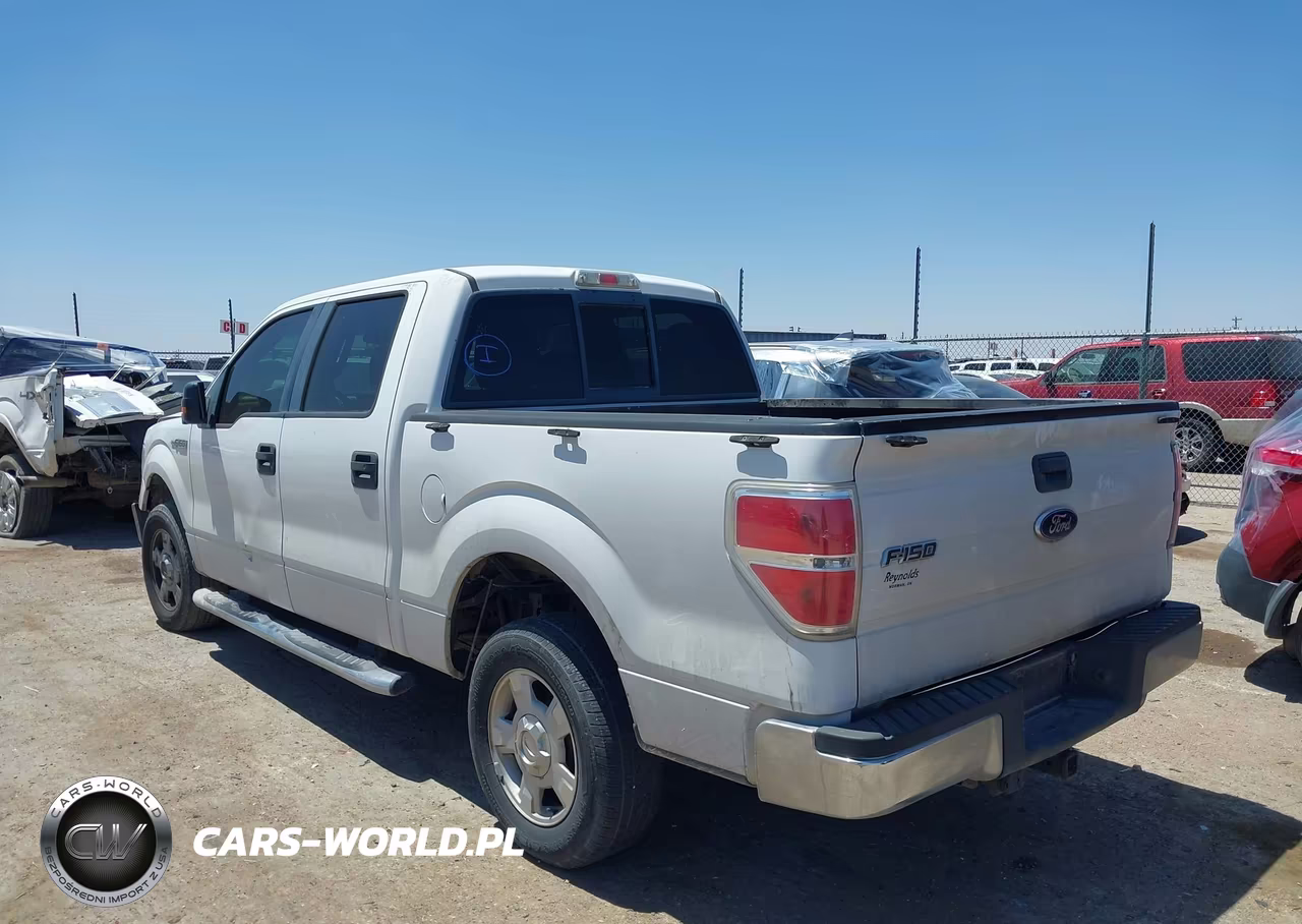 2010 Ford F-150 Fx2 Sport-Xl-Xlt VIN:1FTEW1C8XAFD32604 - 3