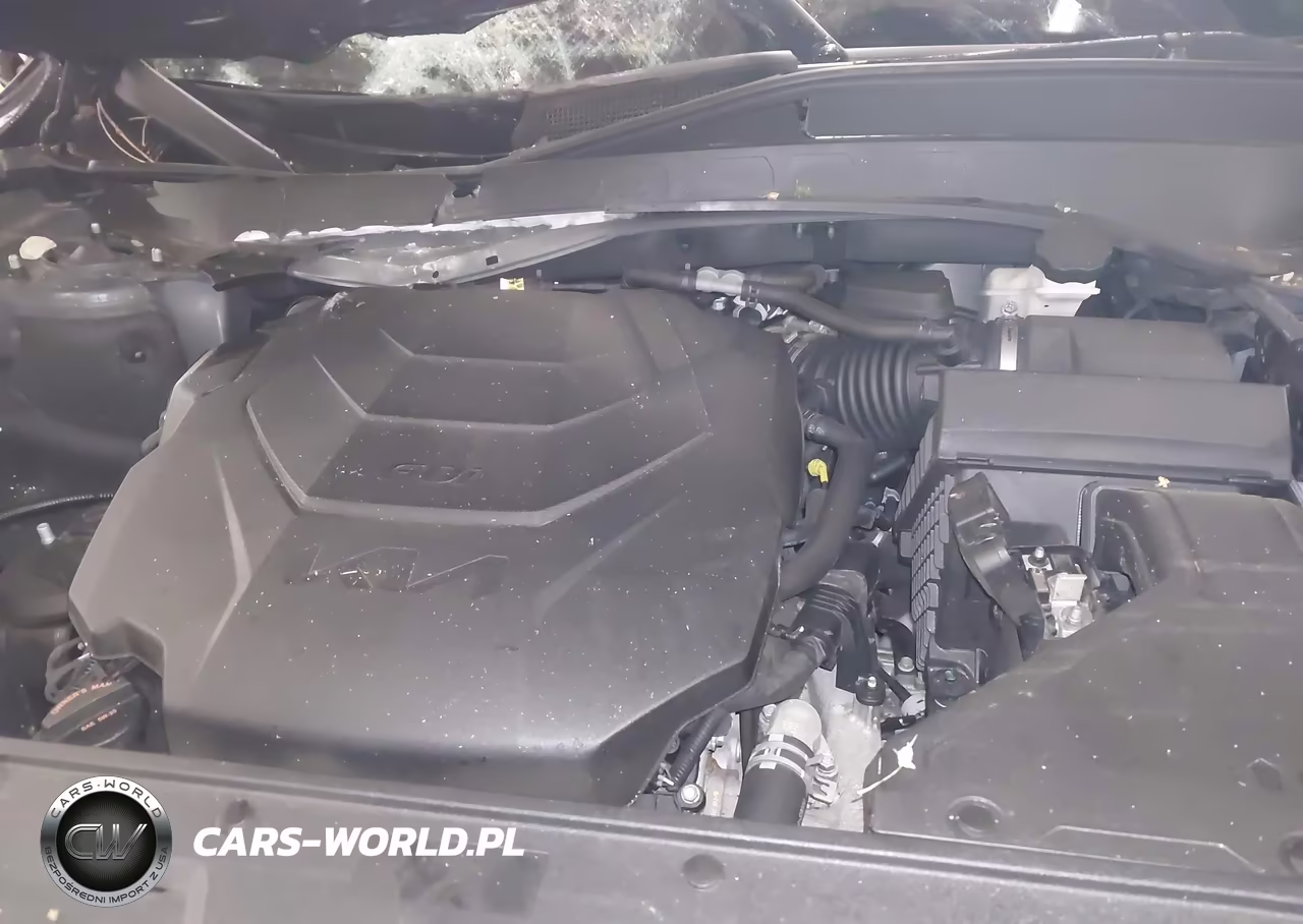 2023 Kia Telluride S VIN:5XYP6DGC9PG368167 - 10