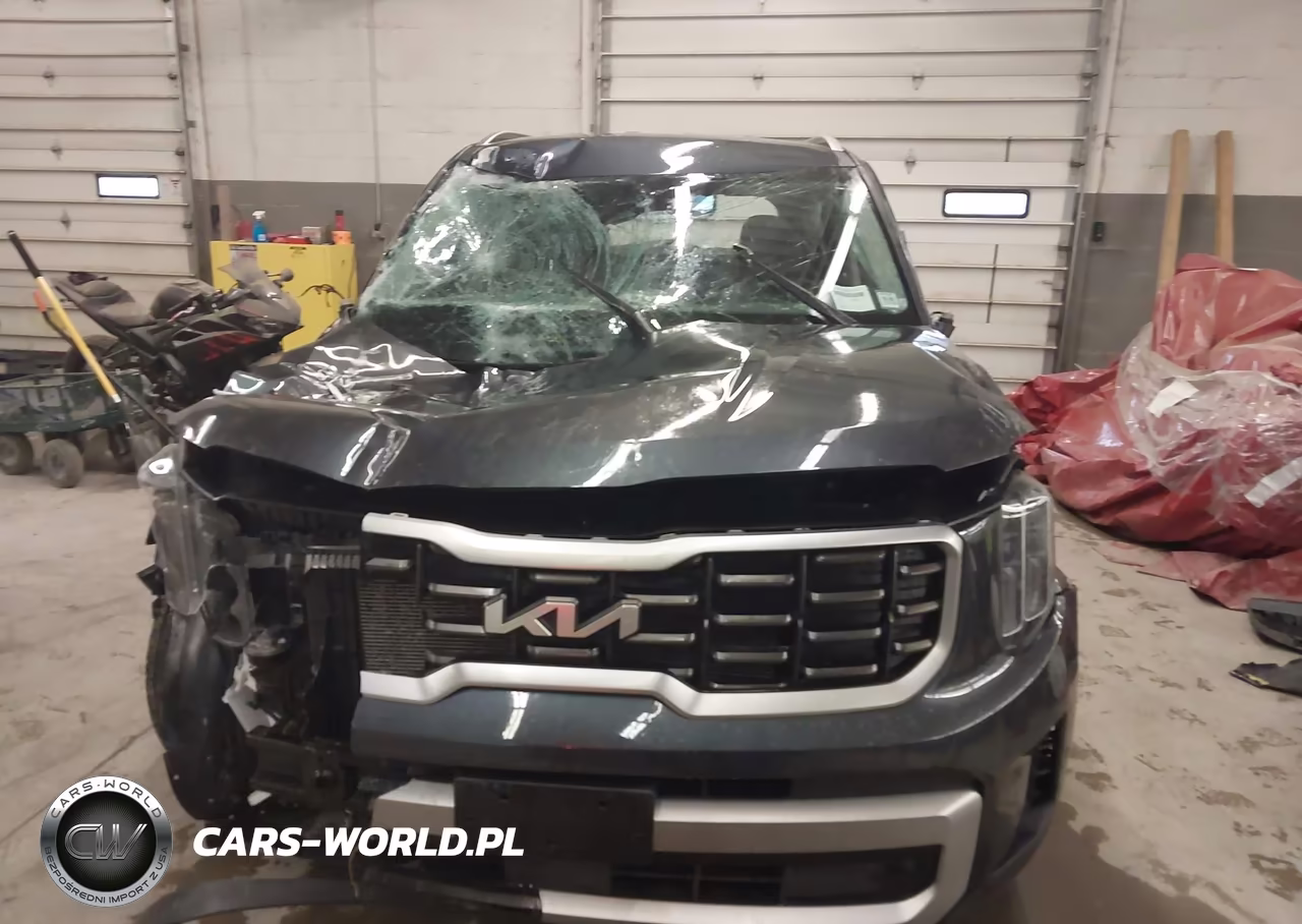 2023 Kia Telluride S VIN:5XYP6DGC9PG368167 - 13