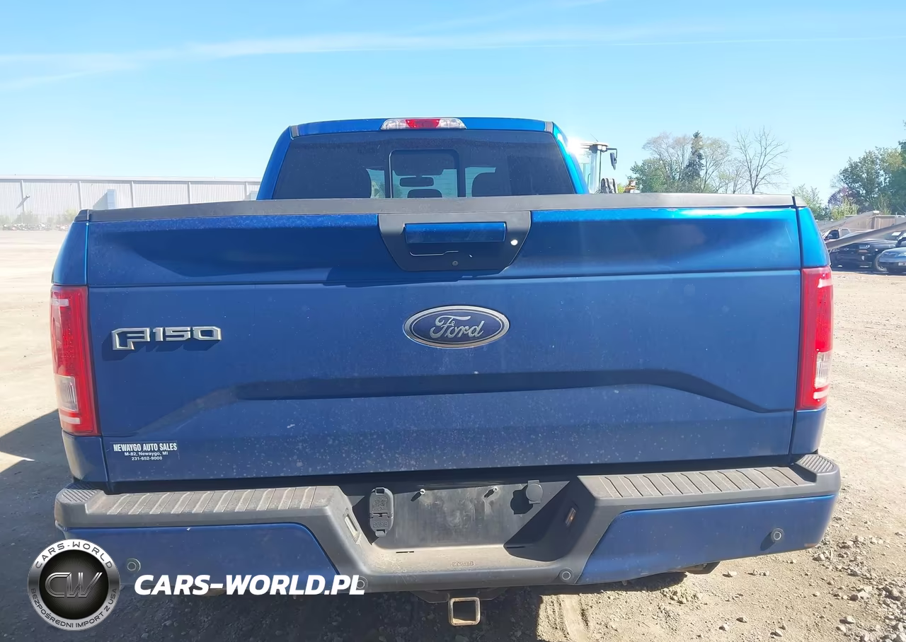 2017 Ford F-150 Xlt VIN:1FTFX1EF3HFA61148 - 16