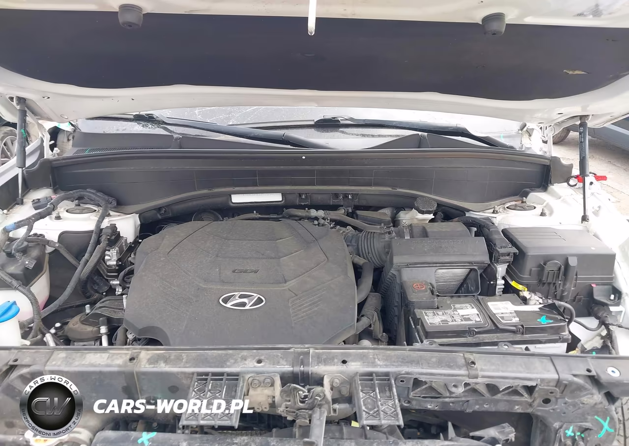 2021 Hyundai Palisade Sel VIN:KM8R34HE6MU209467 - 10