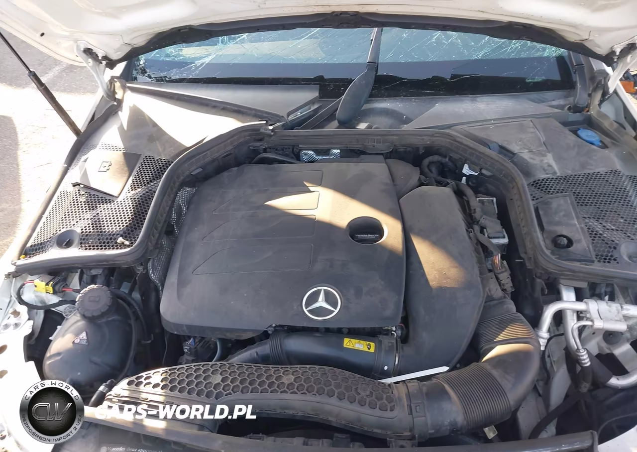 2019 Mercedes-Benz C 300 VIN:55SWF8DB4KU306382 - 10