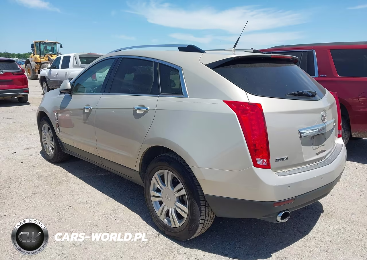 2010 Cadillac Srx Luxury Collection VIN:3GYFNAEY9AS525661 - 3