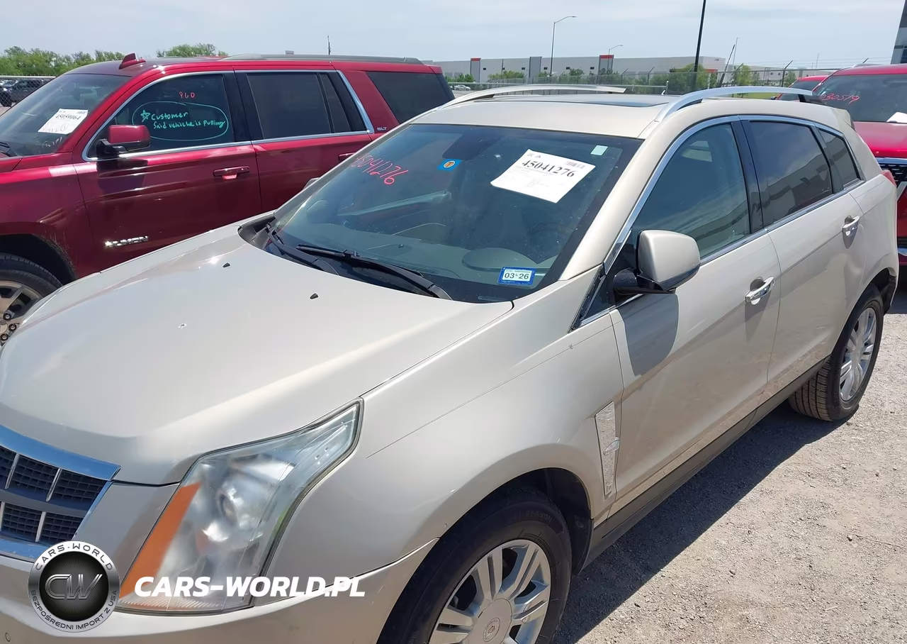 2010 Cadillac Srx Luxury Collection VIN:3GYFNAEY9AS525661 - 6