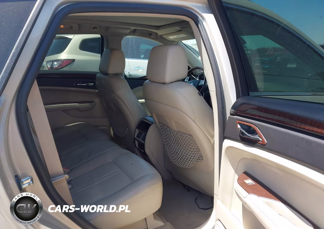 2010 Cadillac Srx Luxury Collection VIN:3GYFNAEY9AS525661 - 8