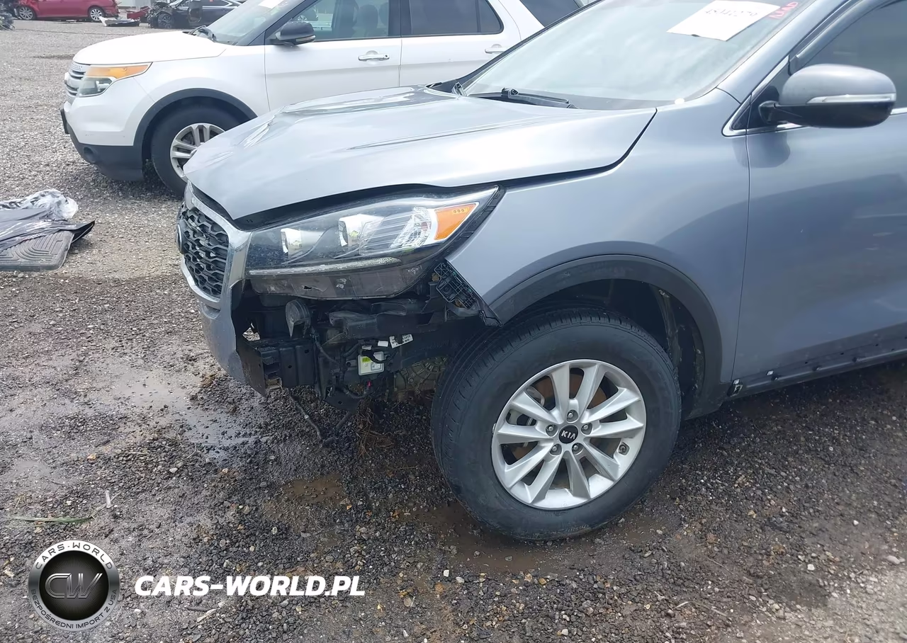 2020 Kia Sorento 2.4L Lx VIN:5XYPG4A39LG698018 - 17