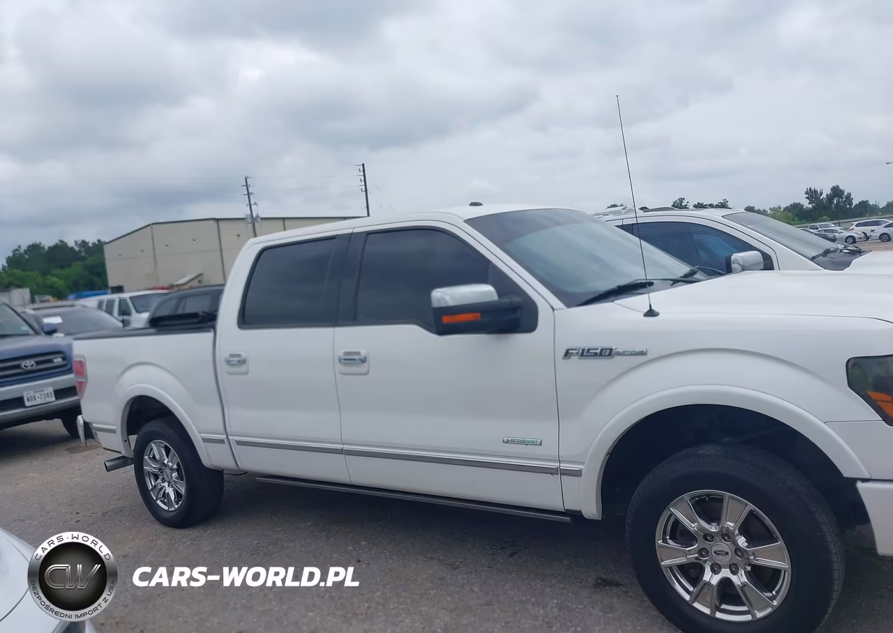 2013 Ford F-150 Platinum VIN:1FTFW1CT3DFA46106 - 13