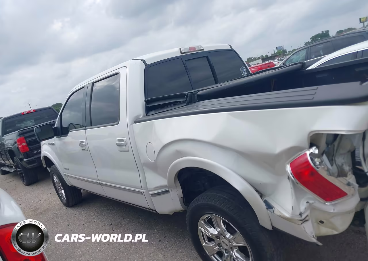 2013 Ford F-150 Platinum VIN:1FTFW1CT3DFA46106 - 14