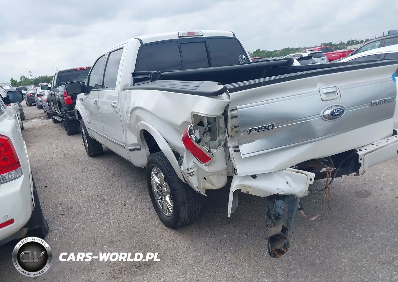 2013 Ford F-150 Platinum VIN:1FTFW1CT3DFA46106 - 3