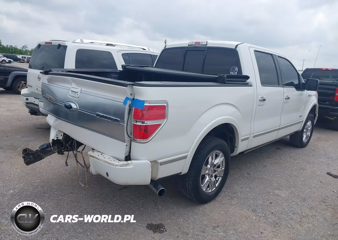 2013 Ford F-150 Platinum VIN:1FTFW1CT3DFA46106 - 4