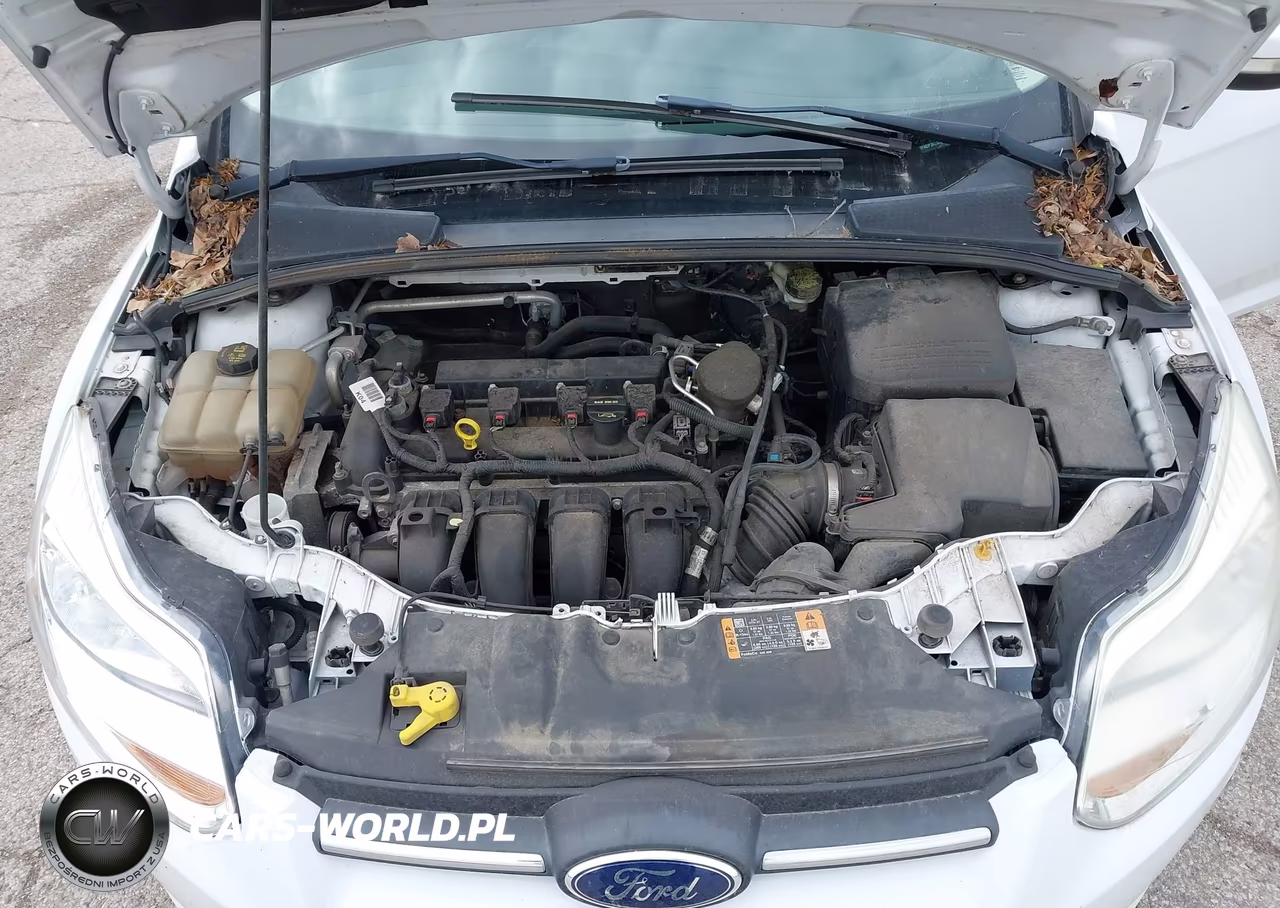2014 Ford Focus Se VIN:1FADP3K24EL361949 - 10