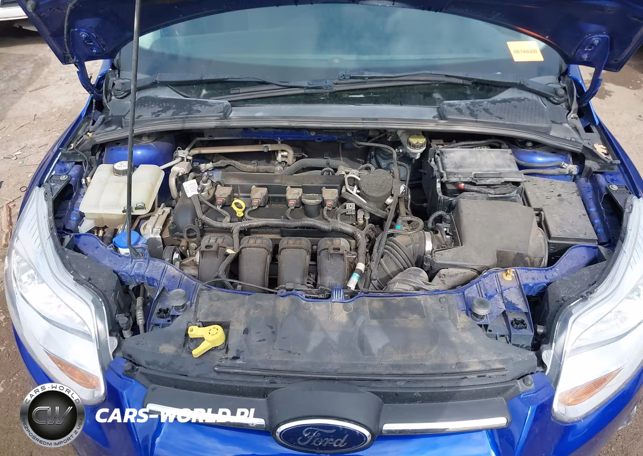 2014 Ford Focus Se VIN:1FADP3K24EL276092 - 10