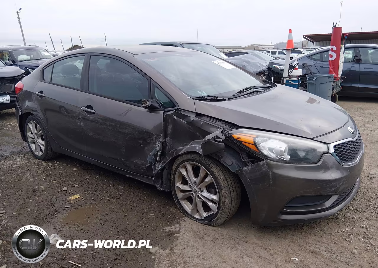 2014 Kia Forte Lx VIN:KNAFK4A67E5070519 - 13