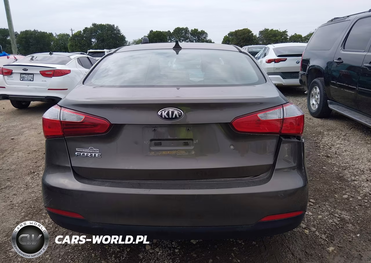 2014 Kia Forte Lx VIN:KNAFK4A67E5070519 - 16