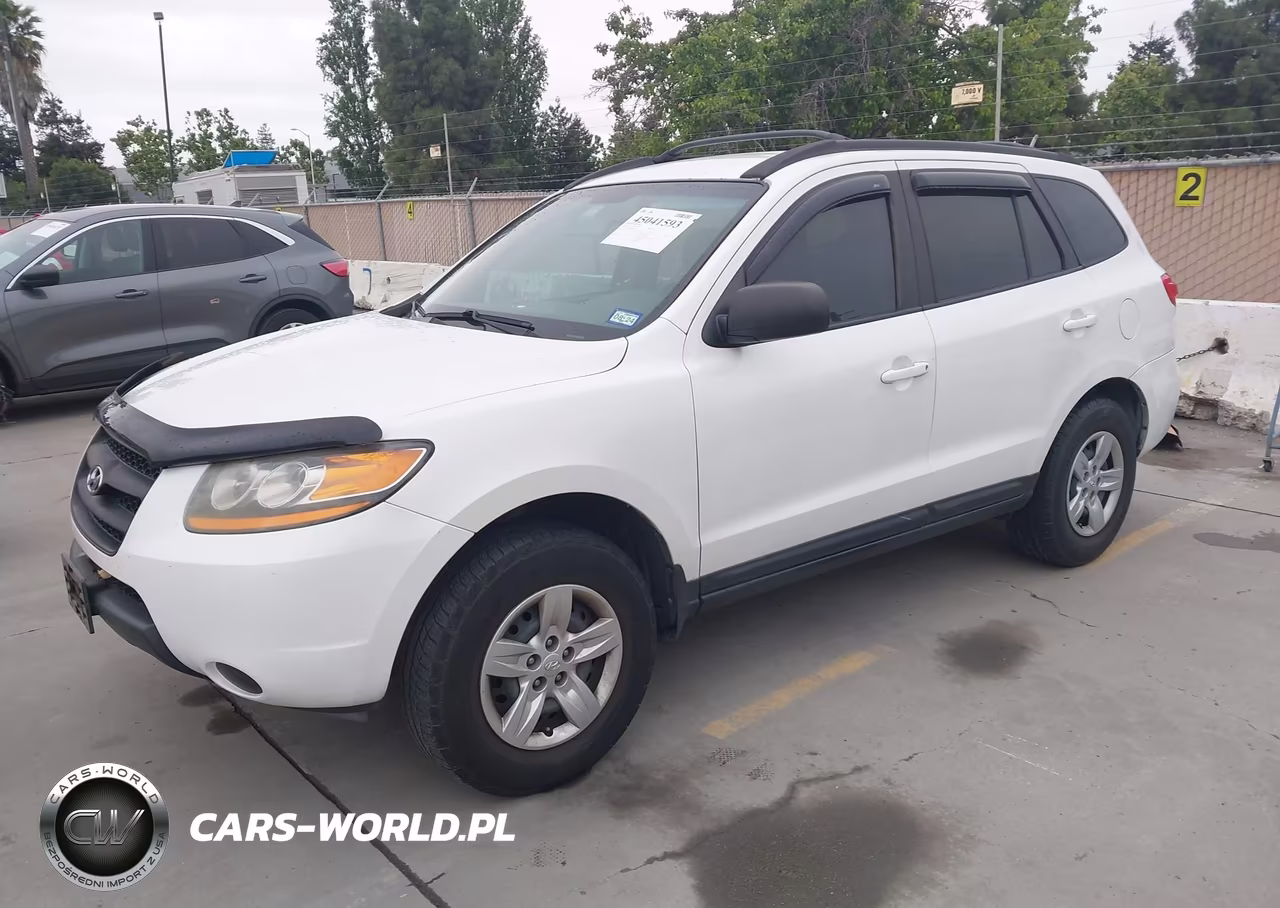 2009 Hyundai Santa Fe Gls VIN:5NMSG13D39H262116 - 2