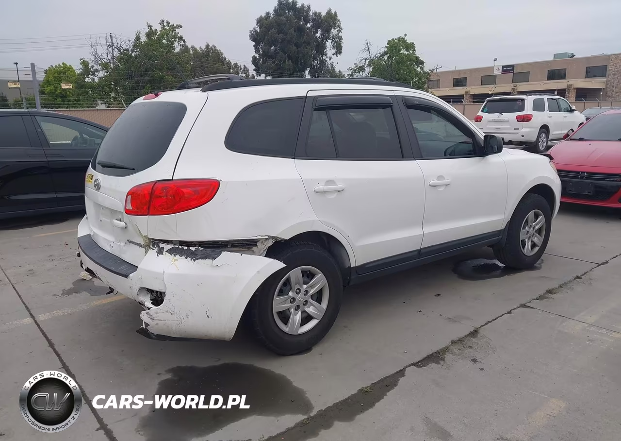 2009 Hyundai Santa Fe Gls VIN:5NMSG13D39H262116 - 4