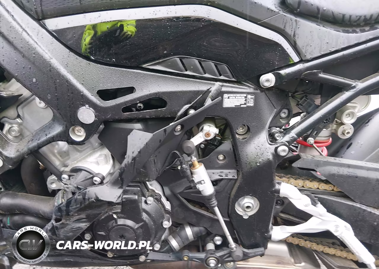 2025 BMW S 1000 Rr VIN:WB10P2301S6L34697 - 9