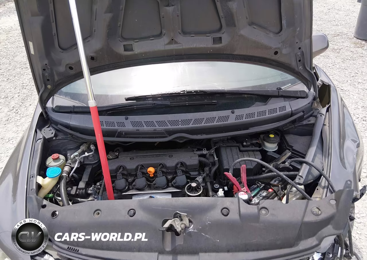 2010 Honda Civic Lx VIN:2HGFA1F59AH523709 - 10
