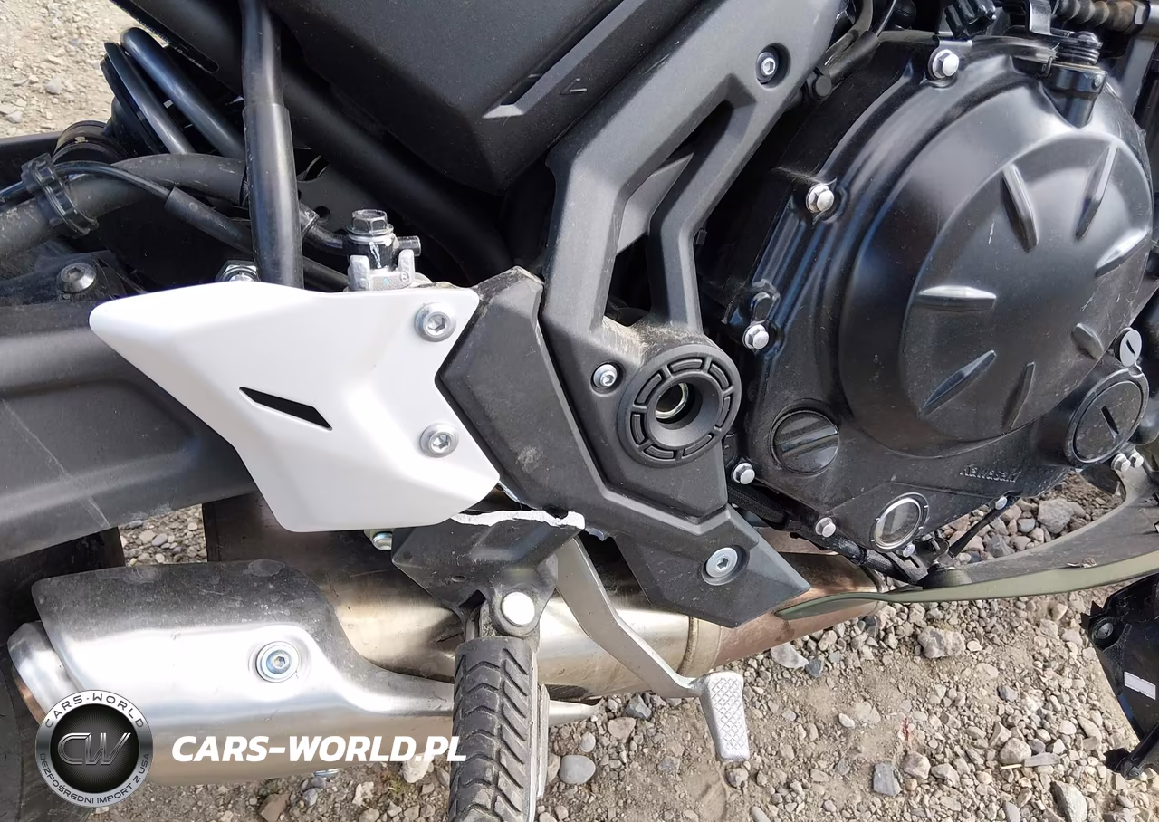 2024 Kawasaki Ex650 R VIN:ML5EXER14RDAD2751 - 18