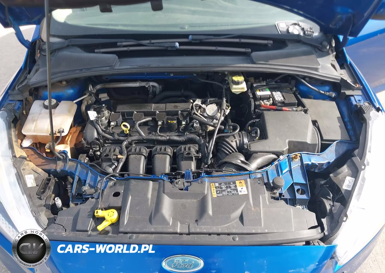 2018 Ford Focus Se VIN:1FADP3K23JL238718 - 10