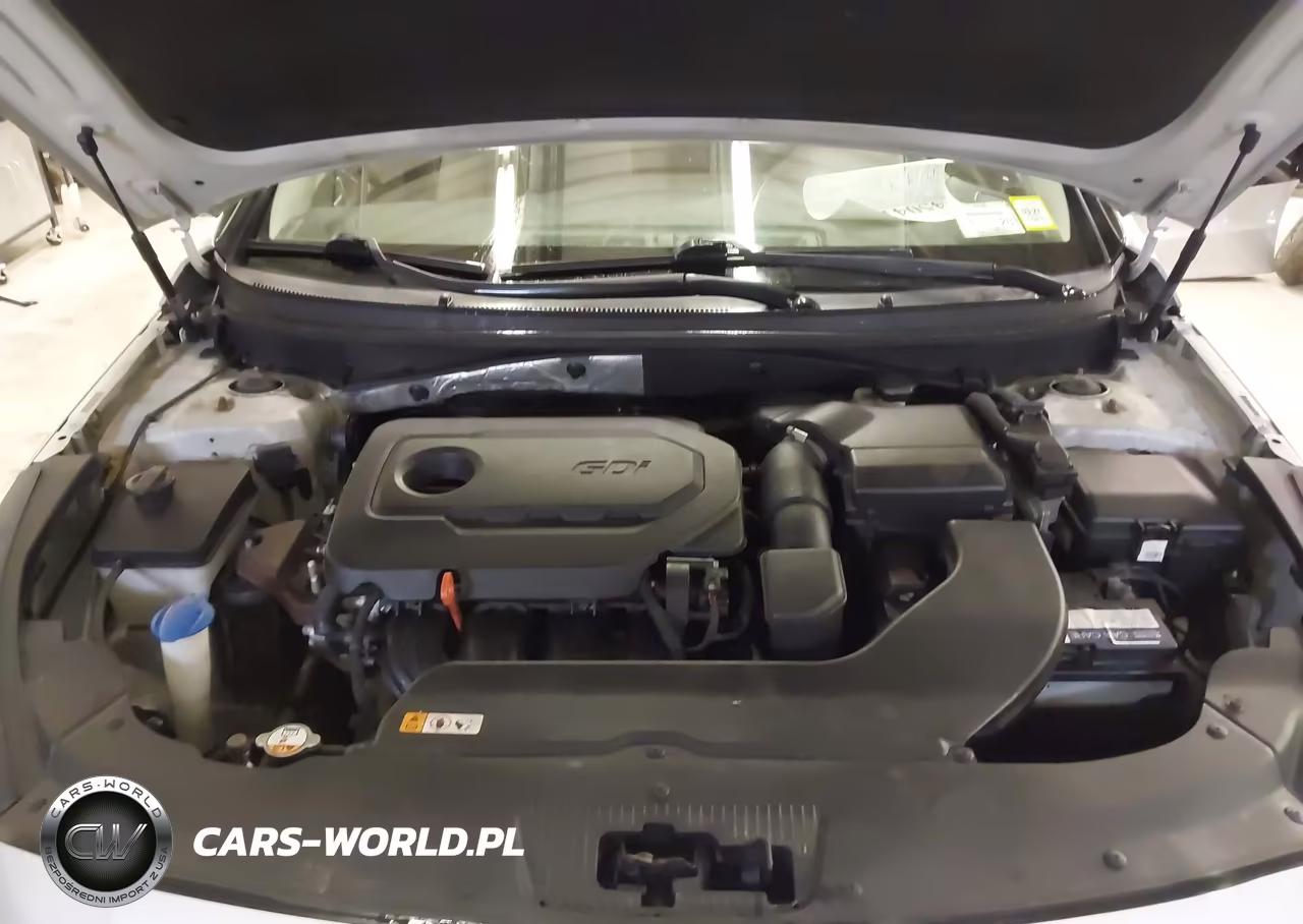 2015 Hyundai Sonata Se VIN:5NPE24AF6FH110542 - 10