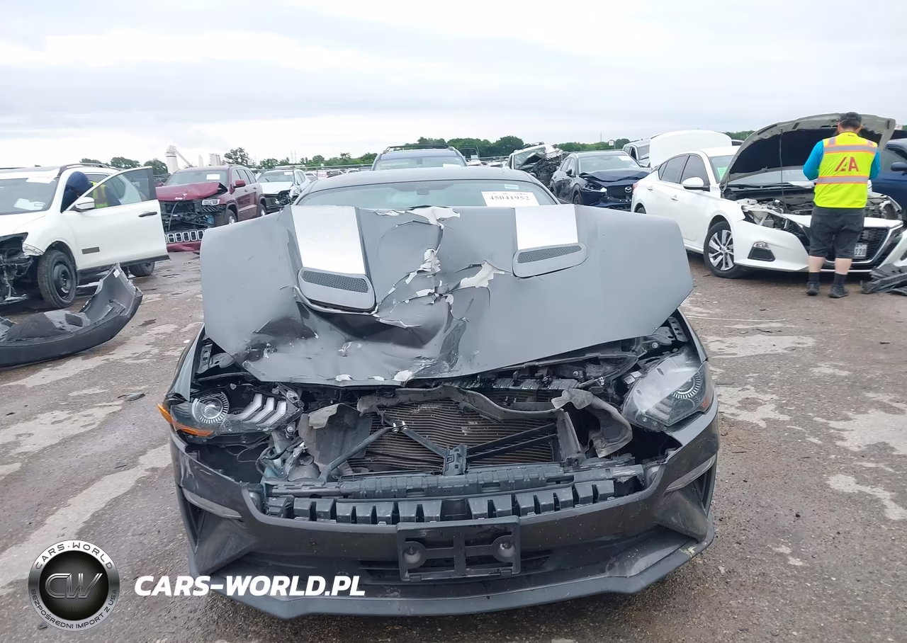 2020 Ford Mustang Ecoboost Fastback VIN:1FA6P8TH6L5190955 - 12