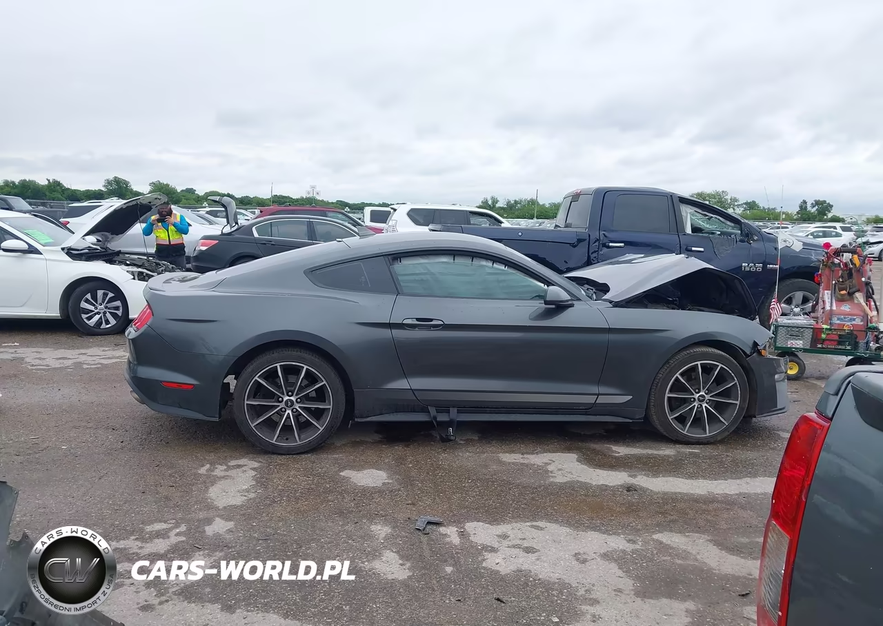 2020 Ford Mustang Ecoboost Fastback VIN:1FA6P8TH6L5190955 - 13