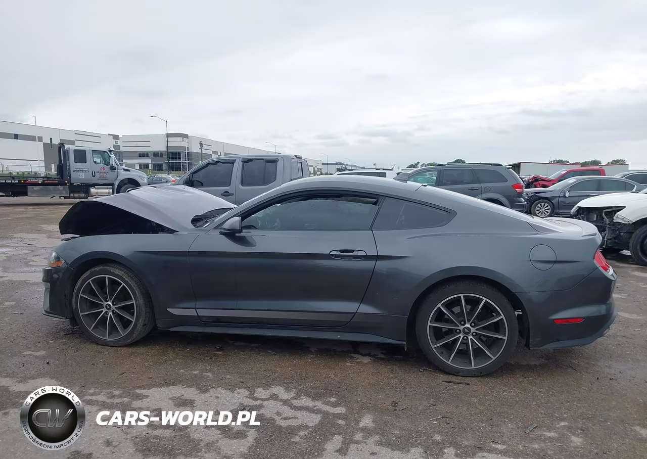 2020 Ford Mustang Ecoboost Fastback VIN:1FA6P8TH6L5190955 - 14
