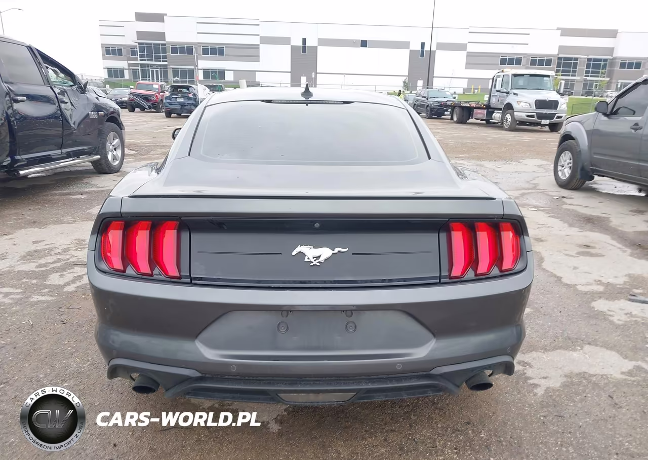 2020 Ford Mustang Ecoboost Fastback VIN:1FA6P8TH6L5190955 - 16