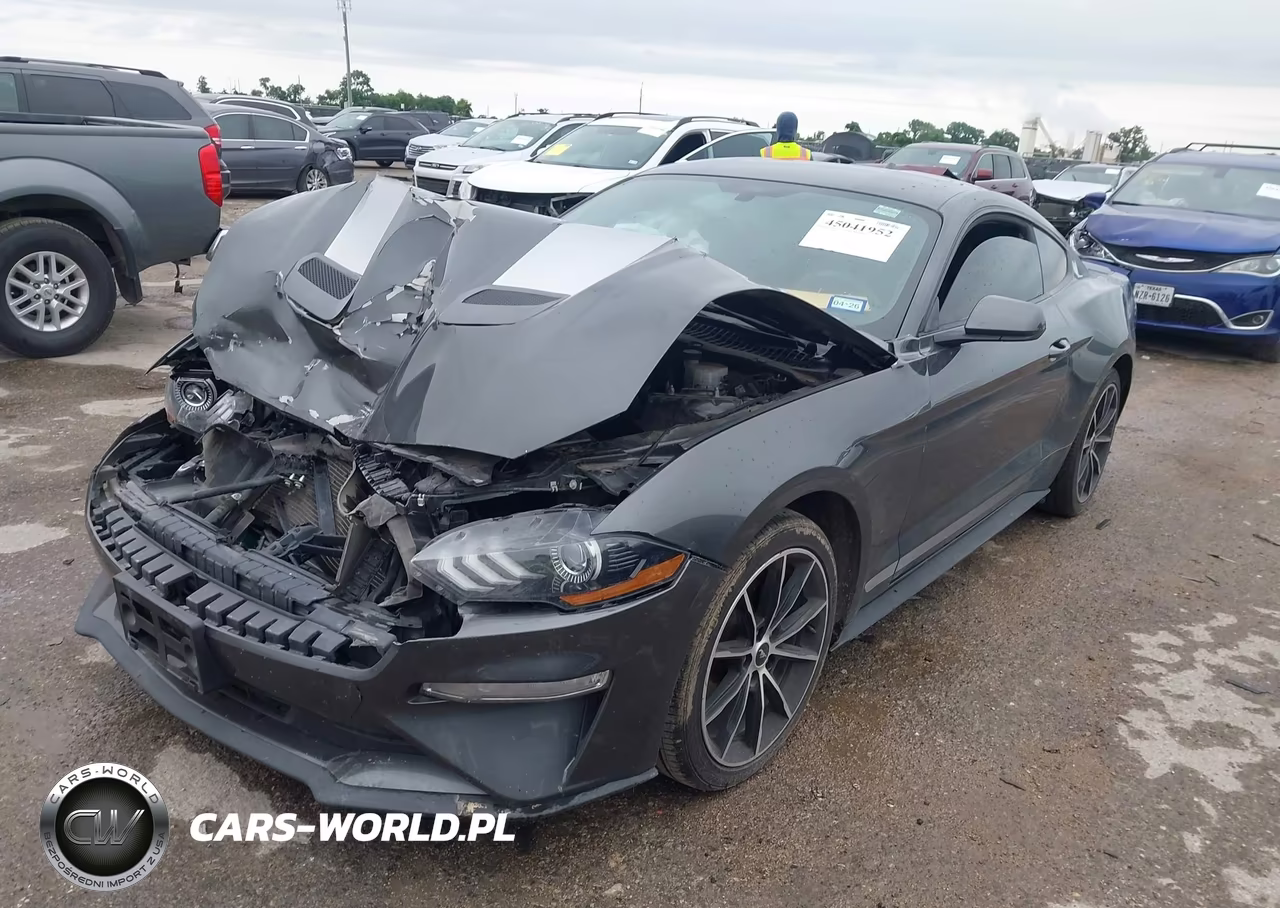 2020 Ford Mustang Ecoboost Fastback VIN:1FA6P8TH6L5190955 - 2