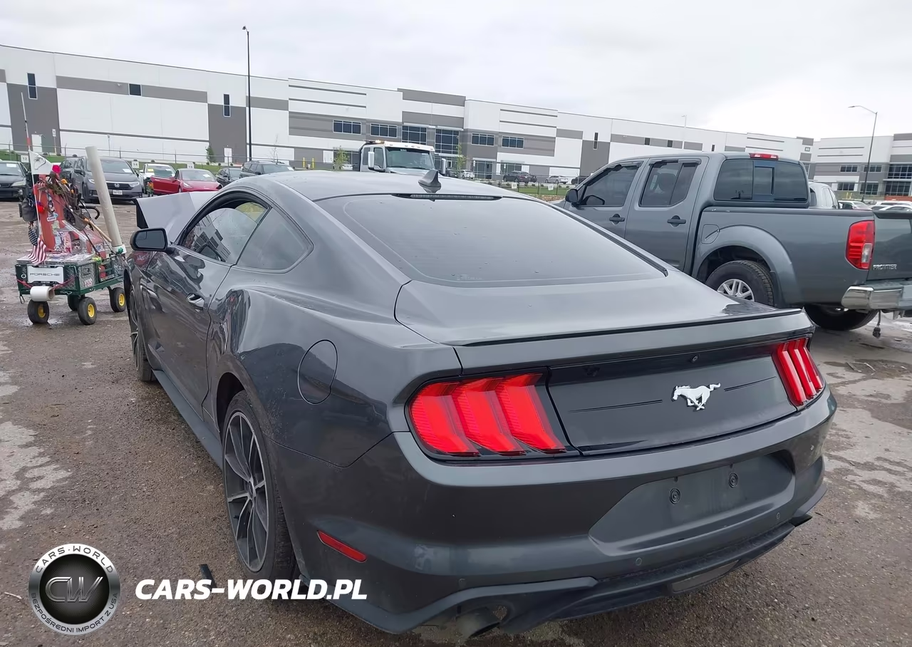 2020 Ford Mustang Ecoboost Fastback VIN:1FA6P8TH6L5190955 - 3