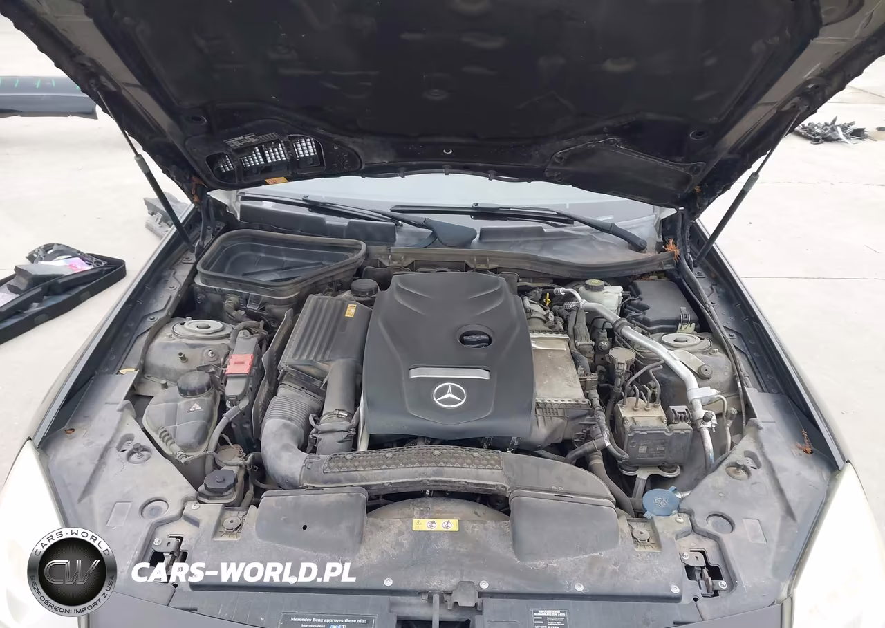 2016 Mercedes-Benz Slk 300 VIN:WDDPK3JAXGF123366 - 10