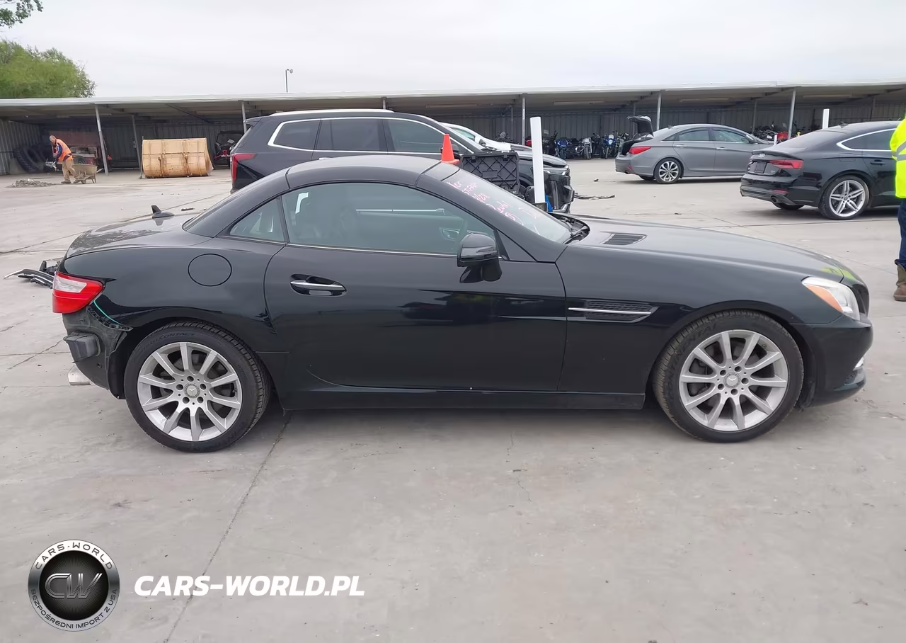 2016 Mercedes-Benz Slk 300 VIN:WDDPK3JAXGF123366 - 14